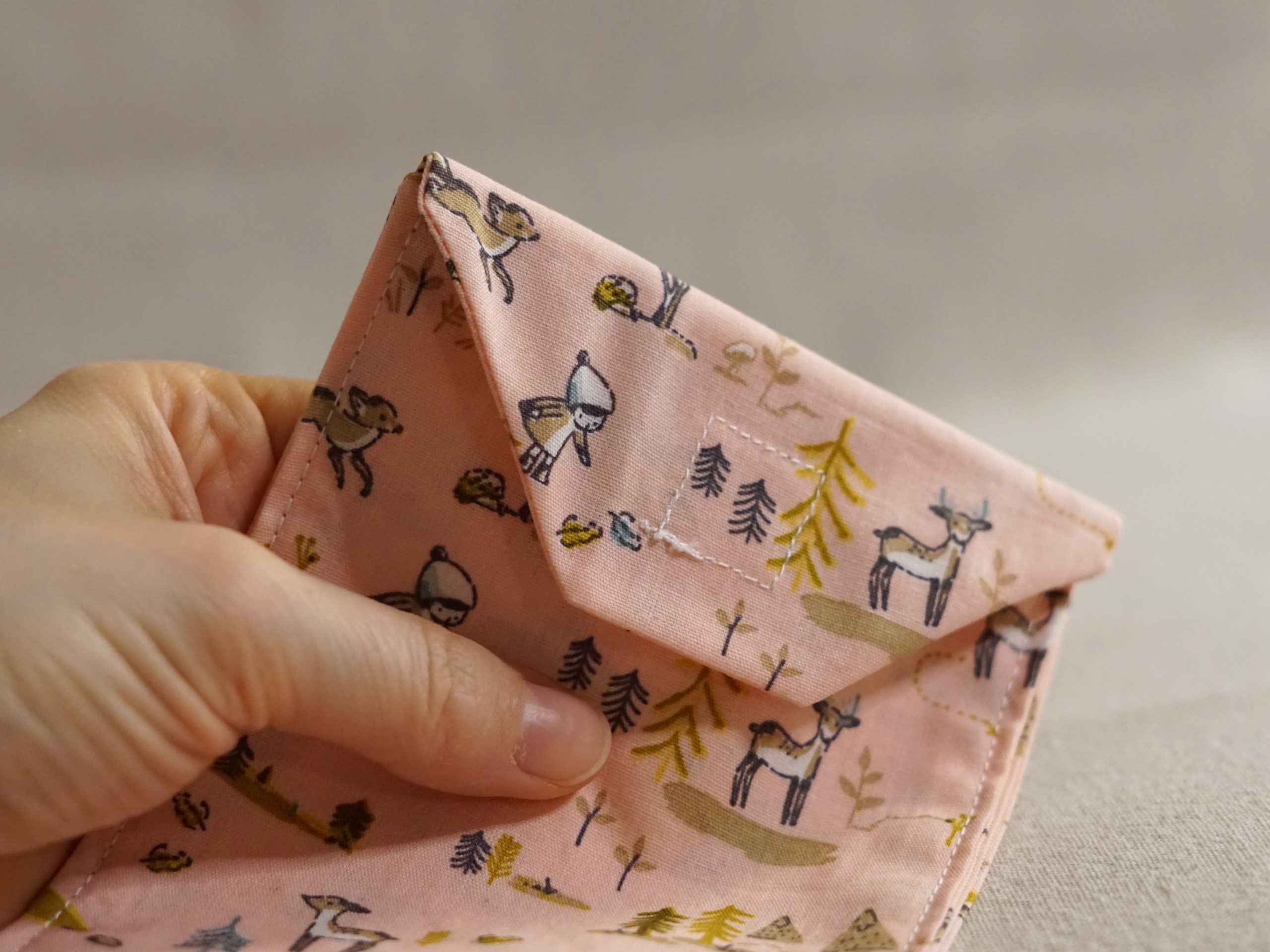 Etui à couvert – Balade Rose